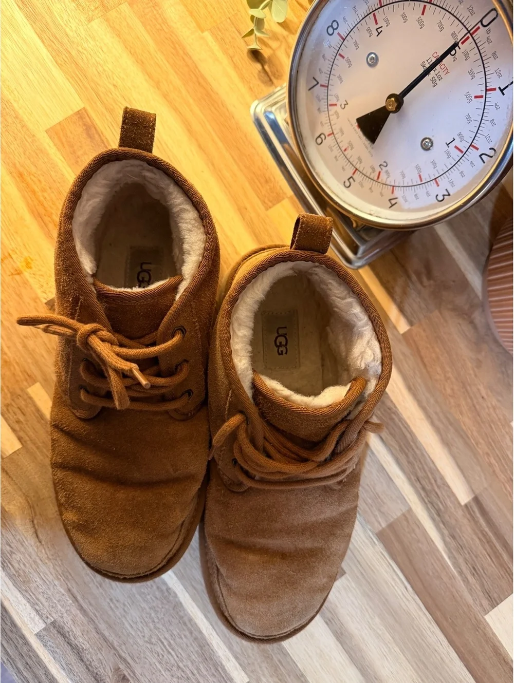 UGG Men's Lace-Up Shearling Boots in Chestnut Brown Size 9